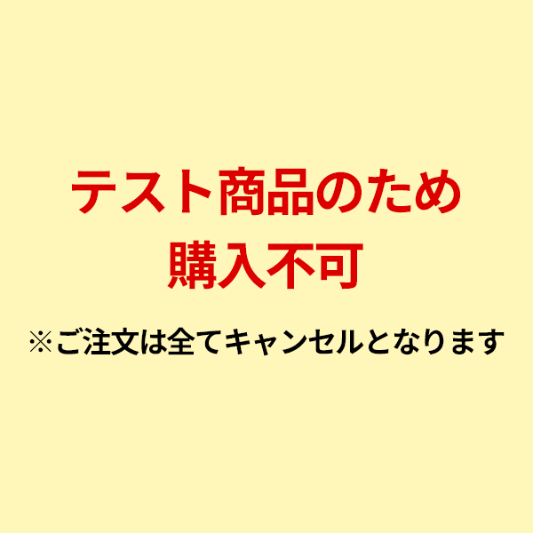 スマホカルテ 機能診断保守 年払いテスト用ページ
