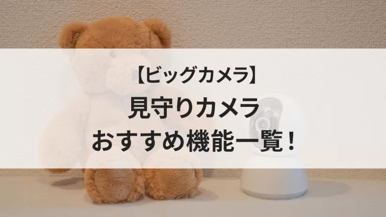 【ビッグカメラ】見守りカメラ おすすめ機能一覧！