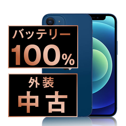 バッテリー100% iPhone12 mini 128GB ブルー Bランク SIMフリー