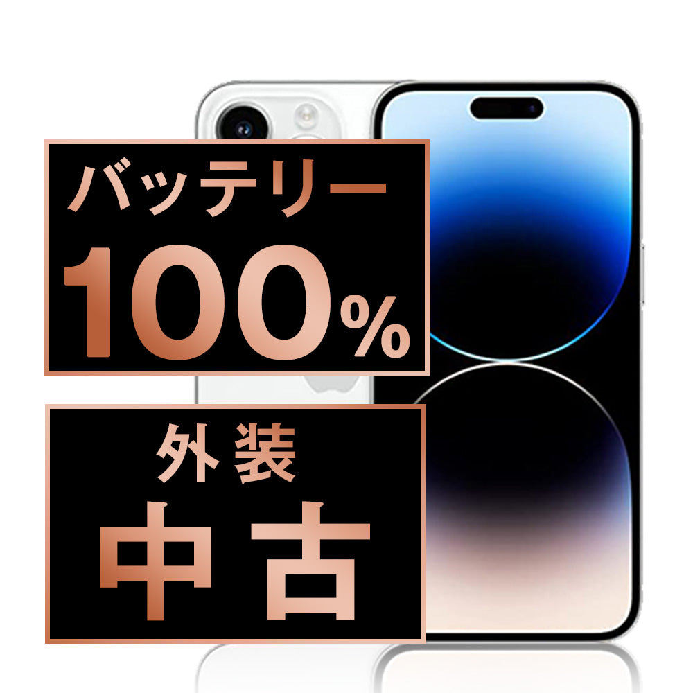 バッテリー100% iPhone13 Pro 256GB シルバー Bランク SIMフリー