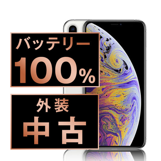 バッテリー100% iPhoneX 256GB シルバー Bランク SIMフリー